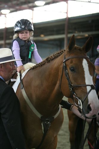 To Be Sure pairing up with Jorja VandenBorn in the lead line class and having a chat with judge Phillip Scott at the 2008 Irish Extravaganza.
