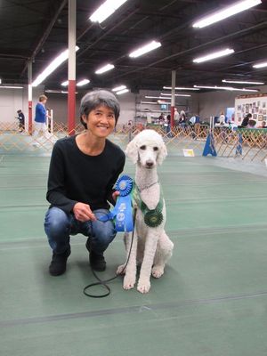 mt vernon dog training club new titles