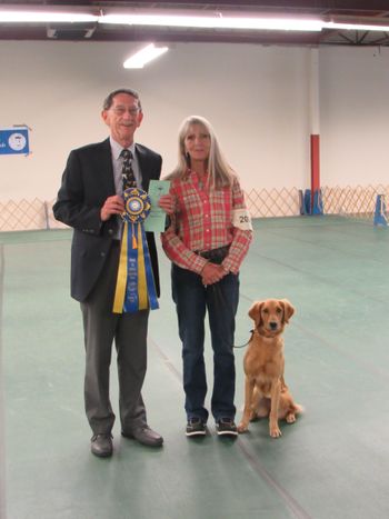 High Scoring Dog Regular Classes  Friday Trial   Weebe's Little Red Corvette  Maggie Hayes
