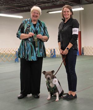 mt vernon dog training club new titles