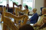 Harp Start Pedagogy Level 1, September 2021