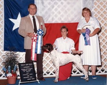 1990 12-18 puppy class winners  bitch - best of winners and BEST OF OPPOSITE SEX
