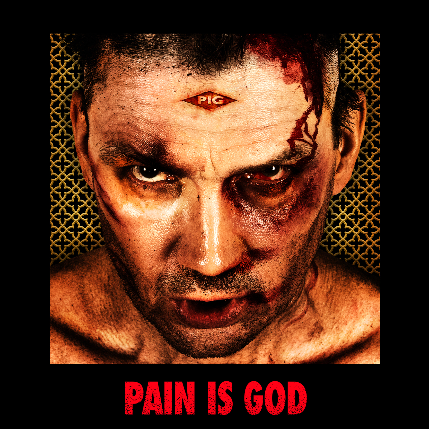 PAIN IS GOD BY PIG