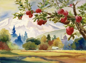 Mt. Hood is at the back door of this apple orchard in Hood River, Oregon! Size 30"x22" original or prints. "Draper Farm Apples" Sold Prints only
