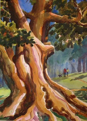 "Sellwood Maple" Sellwood Park, Oregon, was the location of this painting of a huge old Maple tree. Size 22" x 30" Original available. Prints.
