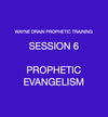 PROPHETIC EVANGELISM - $20*