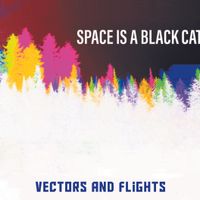 Vectors and Flights by Space is a Black Cat