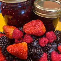 Very Berry Jam Session - Large (New)