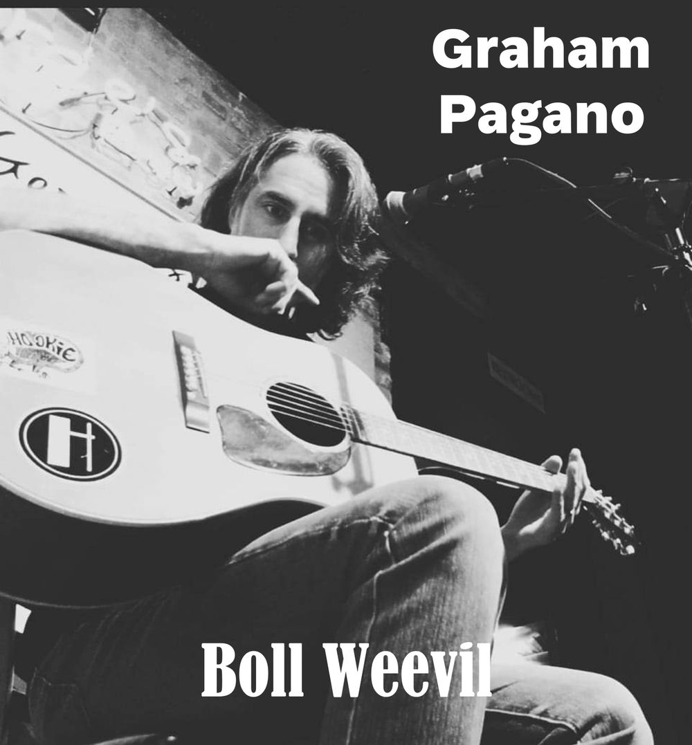 Click image to hear new single Boll Weevil !!!