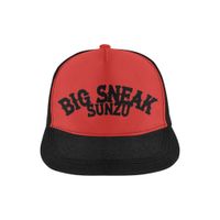 Big Sneak SunZu All Over Print Snapback Hats