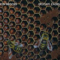 Delicate Cages by Jon Brooks