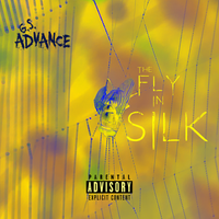 The Fly In Silk by G.S. ADVANCE