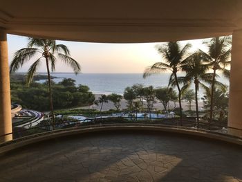 Hawaii View
