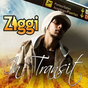 Ziggi - In Transit (2008) Album