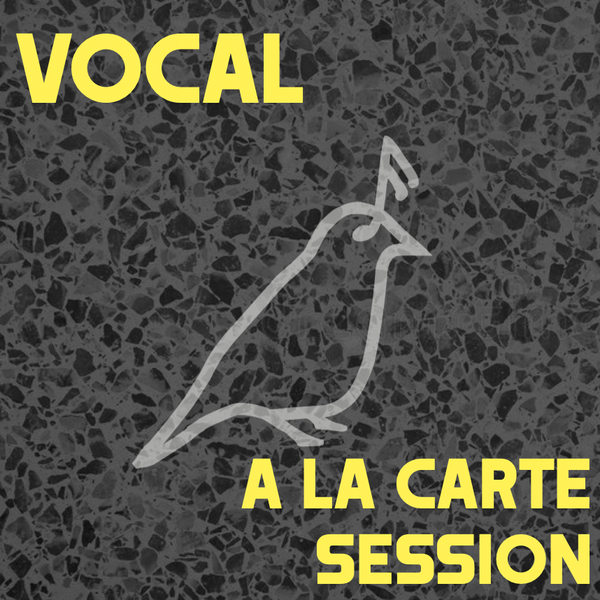 Private Vocal Session "a la carte"