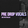 20k Spectacular // Pre Drop Vocals