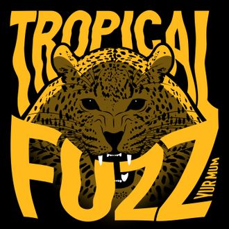 Tropical Fuzz (Album) 2021