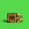 Tropical Fuzz: Album