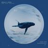 Whale Song (On Your Shore): Single