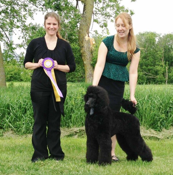 Phoebe winning UKC Best in Show as a bred by puppy
