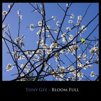 Bloom Full by Tony Gee