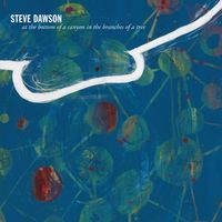 At the Bottom of a Canyon in the Branches of a Tree by Steve Dawson