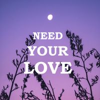 Need Your Love by James Bakian
