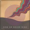 Now or Never Mind: CD