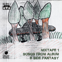 Mixtape 1 (Songs from B Side Fantasy) by Kid Hyena