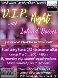 VIP Night with Island Voices