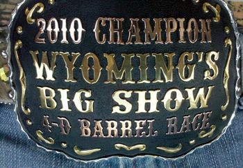 HH Famous Willard, 1d Average Champion 2010 Big Show Barrel Race
