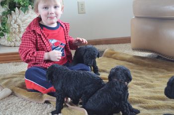 Wyatt doing what he loves to do play with puppies
