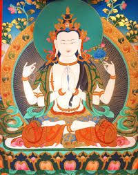 Buddhist Studies & Meditation