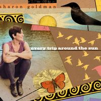 Every Trip Around the Sun by Sharon Goldman