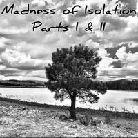 Madness of Isolation part II by April Anne