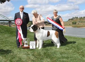 "Power" winning BOS at the 2013 National under Judge Ken Buxton.  Just under 3 yrs of age.  (Missouri River in background)