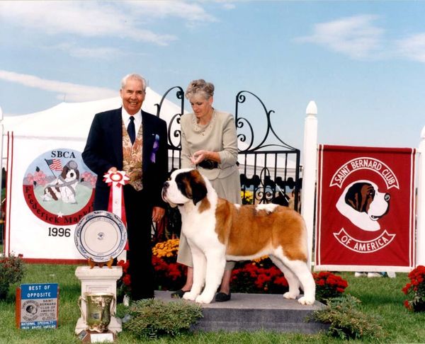 Ch Cache Retreat Academy Best of Breed Saint Bernard Club of America 1998 National Specialty  (photo from '96 National).