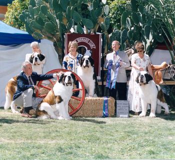 2002 - At this National in Tucson, Judge Ken Buxton awarded 4 of the 5 Selects to Cache Retreat dogs. (l to r) Host, Biz, Buddy & Opie.
