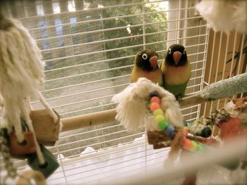 Two little sweet birds in a shop in Vancouver, right before we checked messages and found out Mark's U2 Fanclub Membership that I got him for his birthday had PERKS! We got to go and be in the filming of the video for "City of Blinding Lights"! It was really cool!
