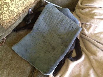 Sussy sleeping UNDER a heating pad.
