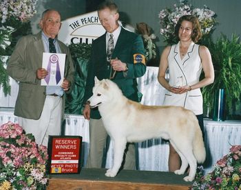 Lightning takes a major reserve at the SHCGA specialty under breeder judge, Merc Cresap. He is handled by Jim. April 2002
