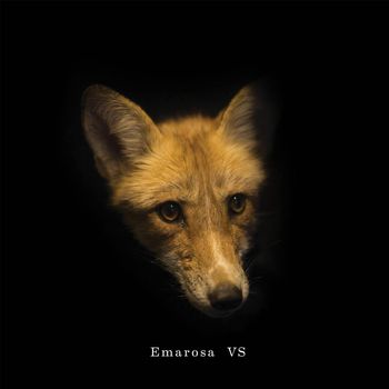 Emarosa - VS - Producer/Mixer
