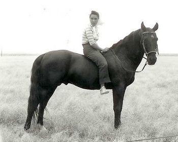 Highland Dale, a registered Saddlebred stallion, aka Black Beauty, Fury, et al. He was known as 'Beaut' to Ralph and all of those us who grew up with him. The lady aboard is . . . Elizabeth Taylor who rode him in The Giant on location in Marfa, TX and also in VA.
