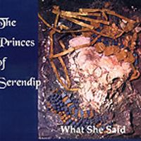 What She Said by The Princes of Serendip
