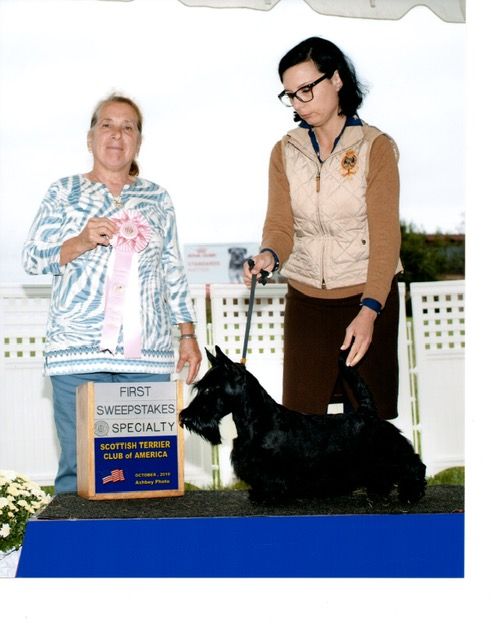 Winner of 6-9mos division at sweepstakes at Montgemery 