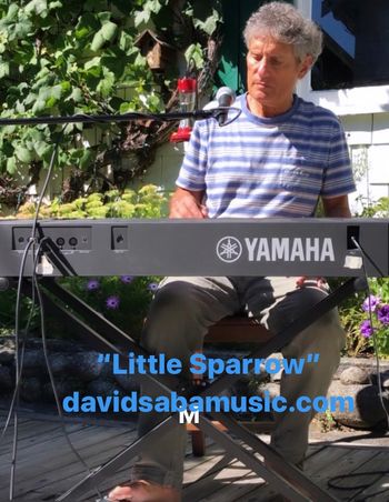 David Saba - 'Live From Home - "Little Sparrow" September 2020
