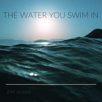 The Water You Swim In by Zak Sloan