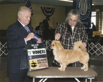 A five point major from the puppy class
