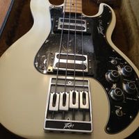 Very Rare Private stock' 1980 Peavey T-40 Bass Guitar