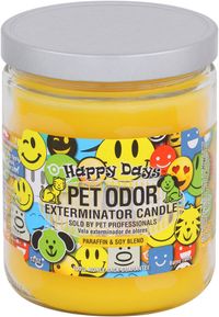 Odor Exterminator Candle - Happy Days